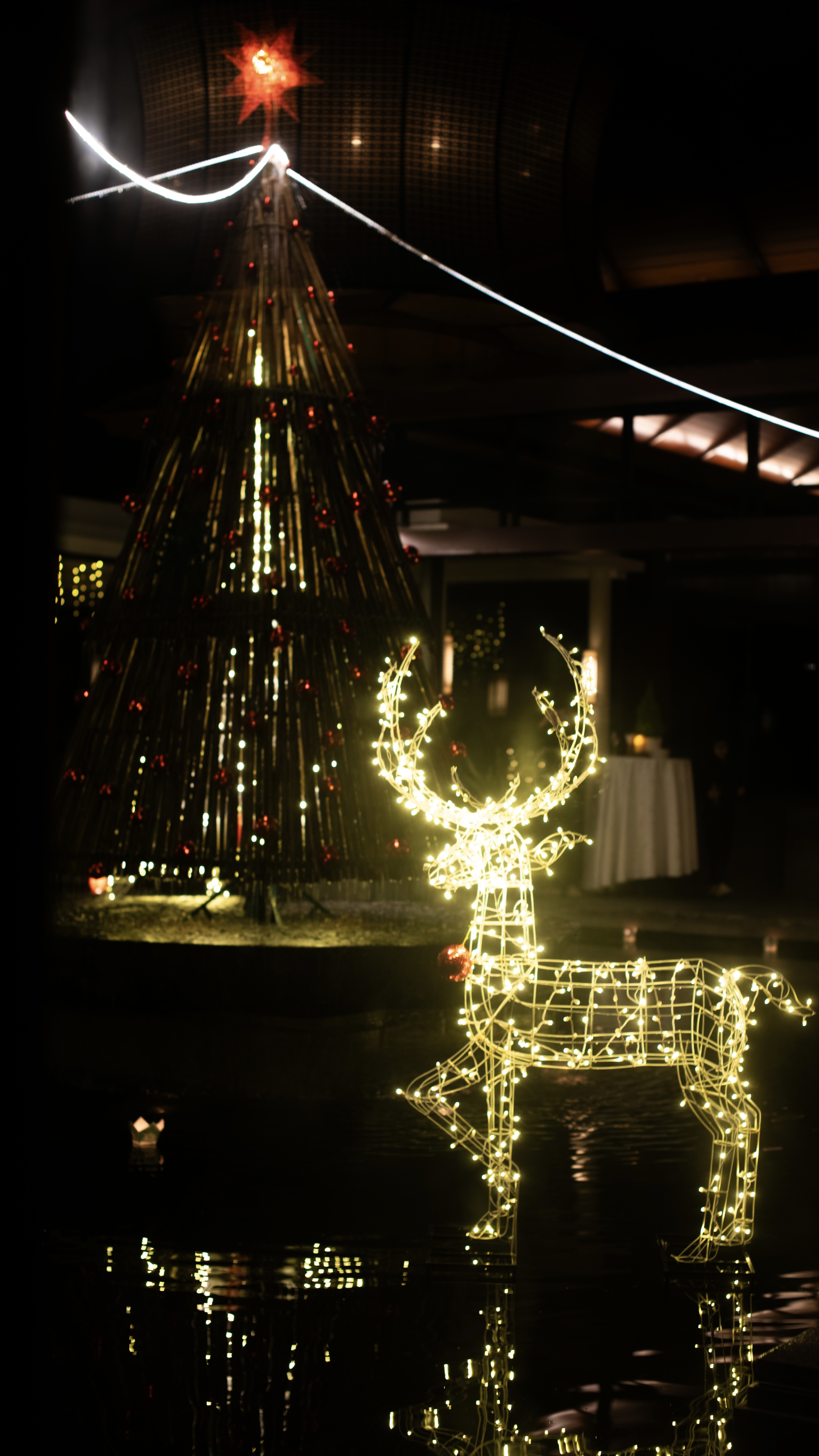 angsana lang co festive offer